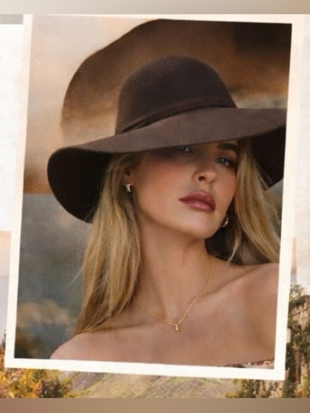 Brown Felt Floppy Hat